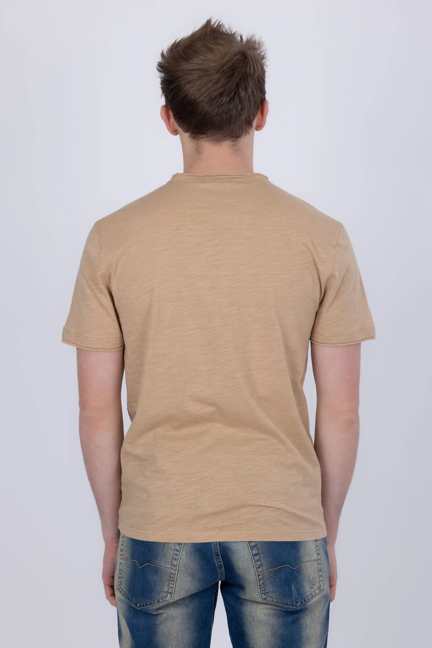 Agra V-Neck Solid T-Shirts