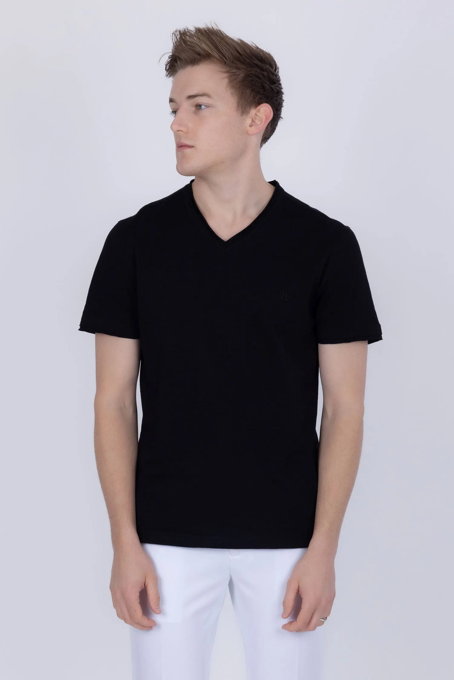 Agra V-Neck Solid T-Shirts