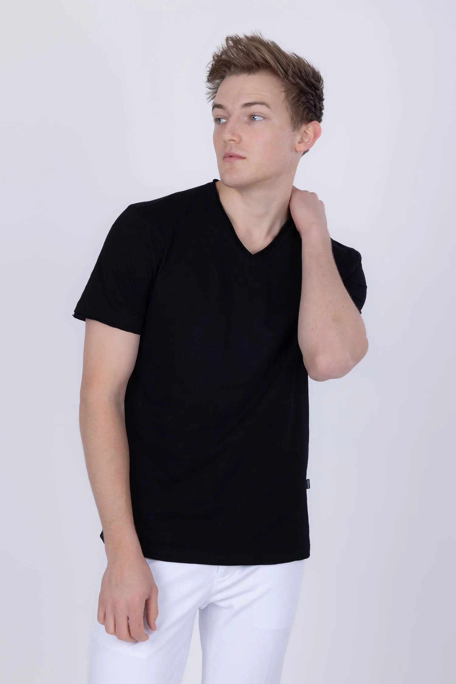 Agra V-Neck Solid T-Shirts