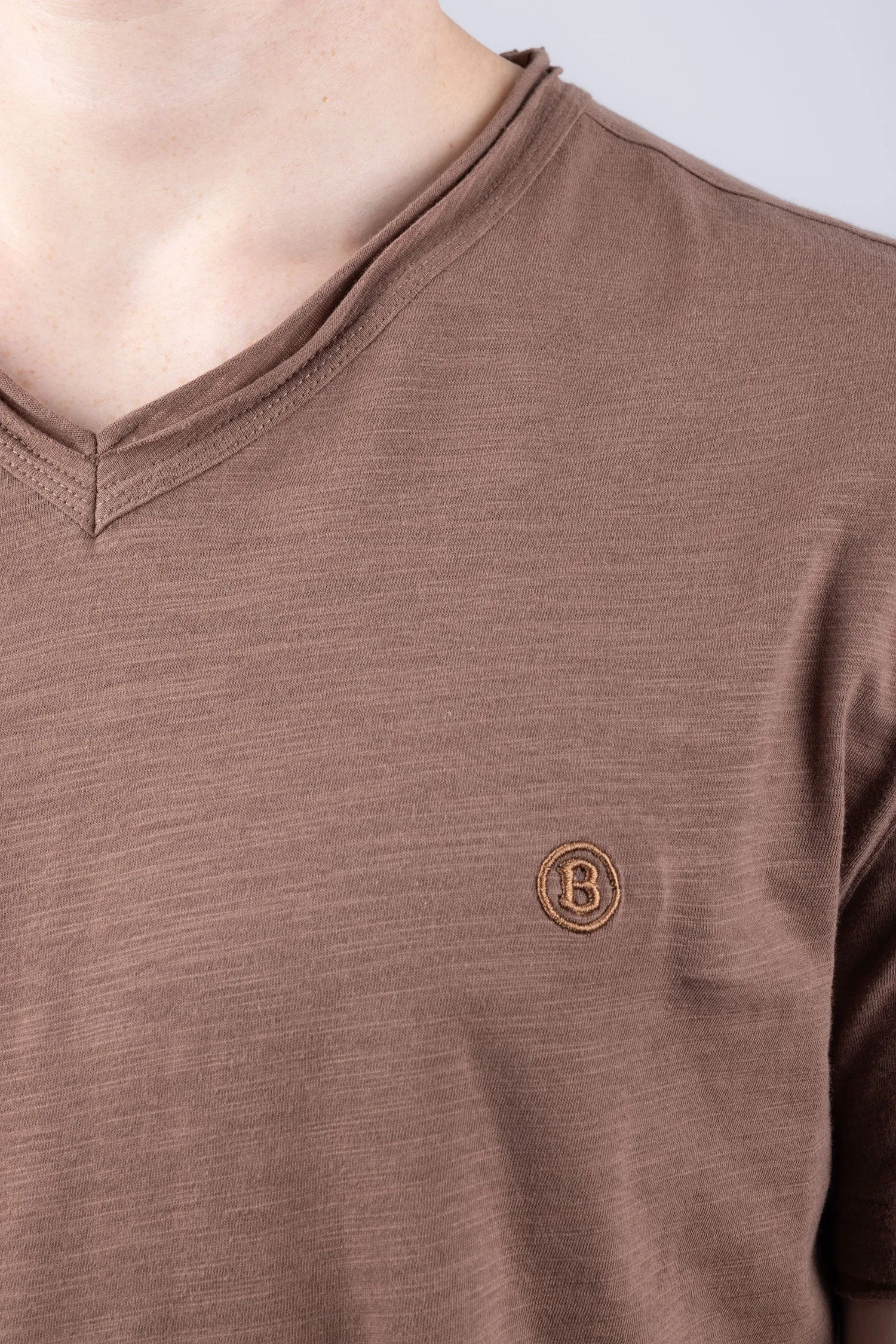 Agra V-Neck Solid T-Shirts