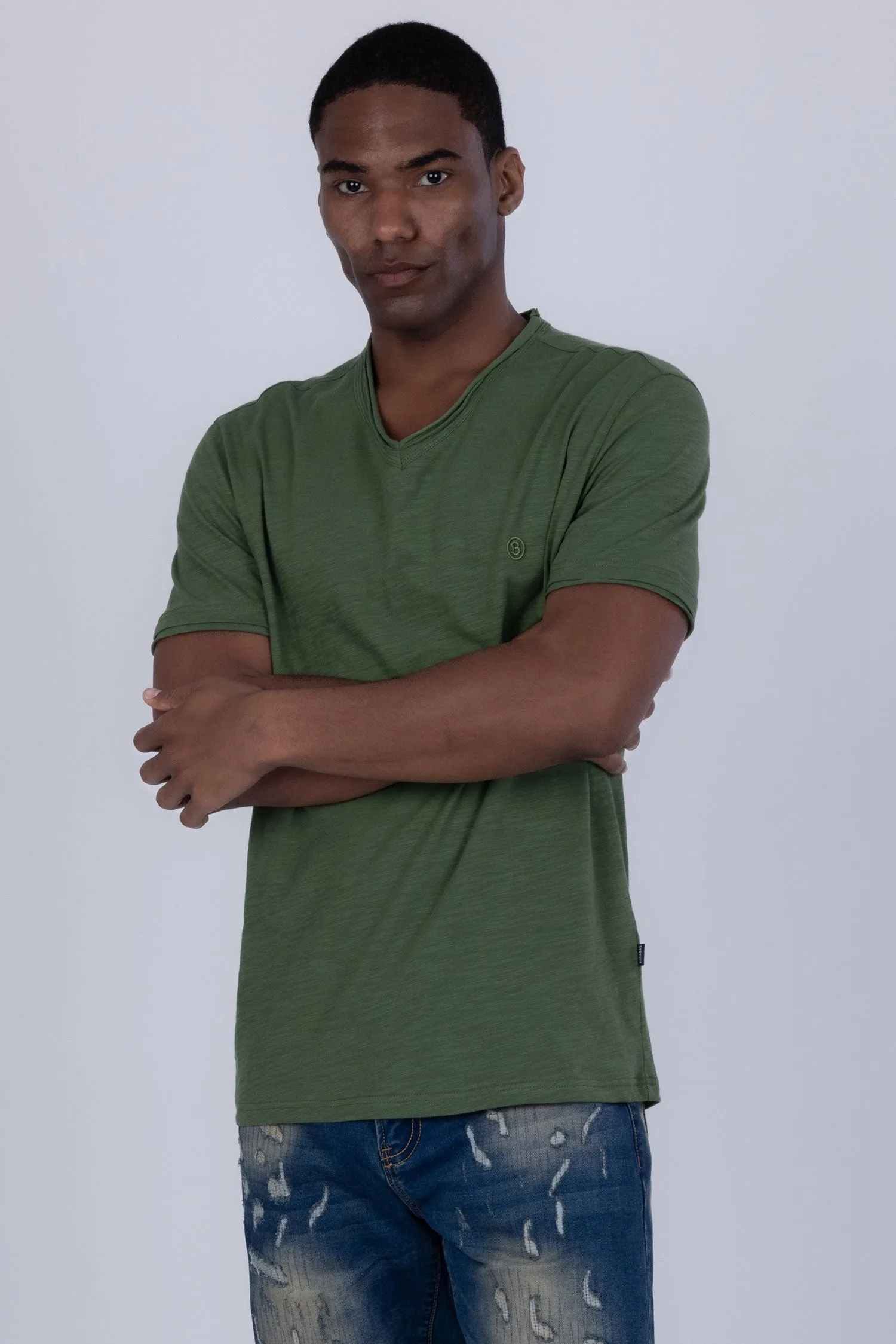 Agra V-Neck Solid T-Shirts