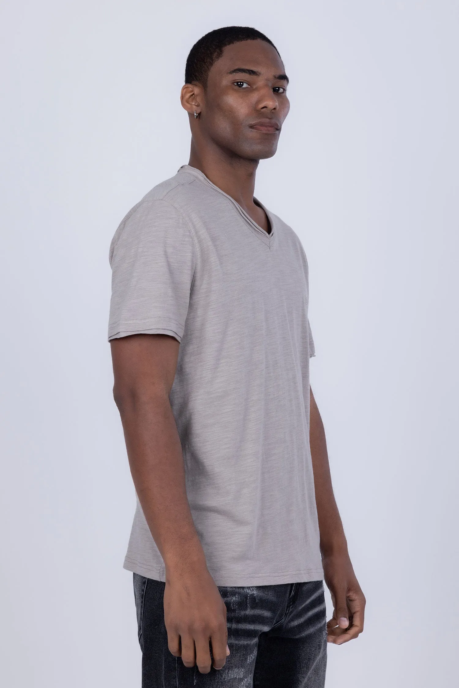 Agra V-Neck Solid T-Shirts