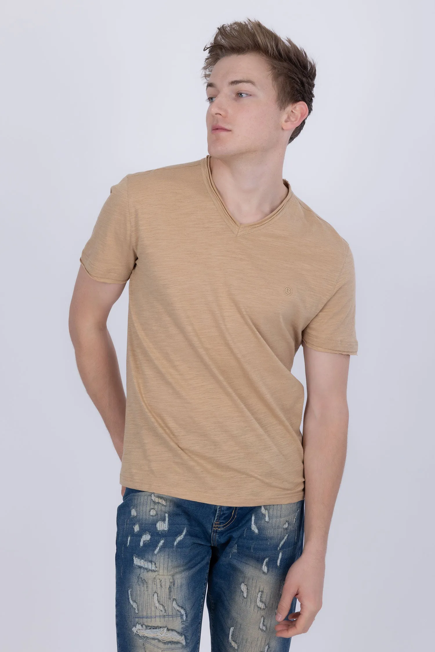 Agra V-Neck Solid T-Shirts