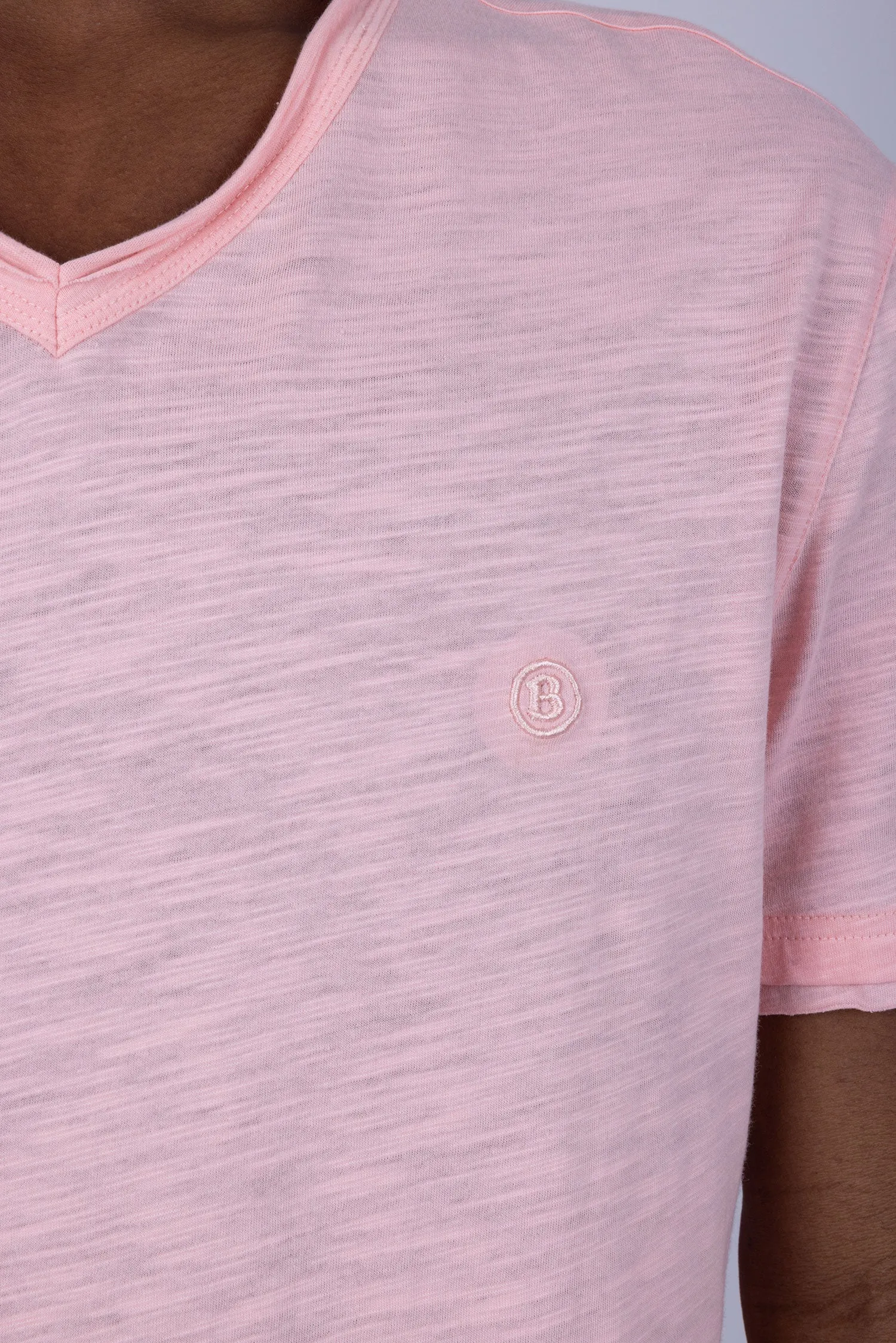 Agra V-Neck Solid T-Shirts