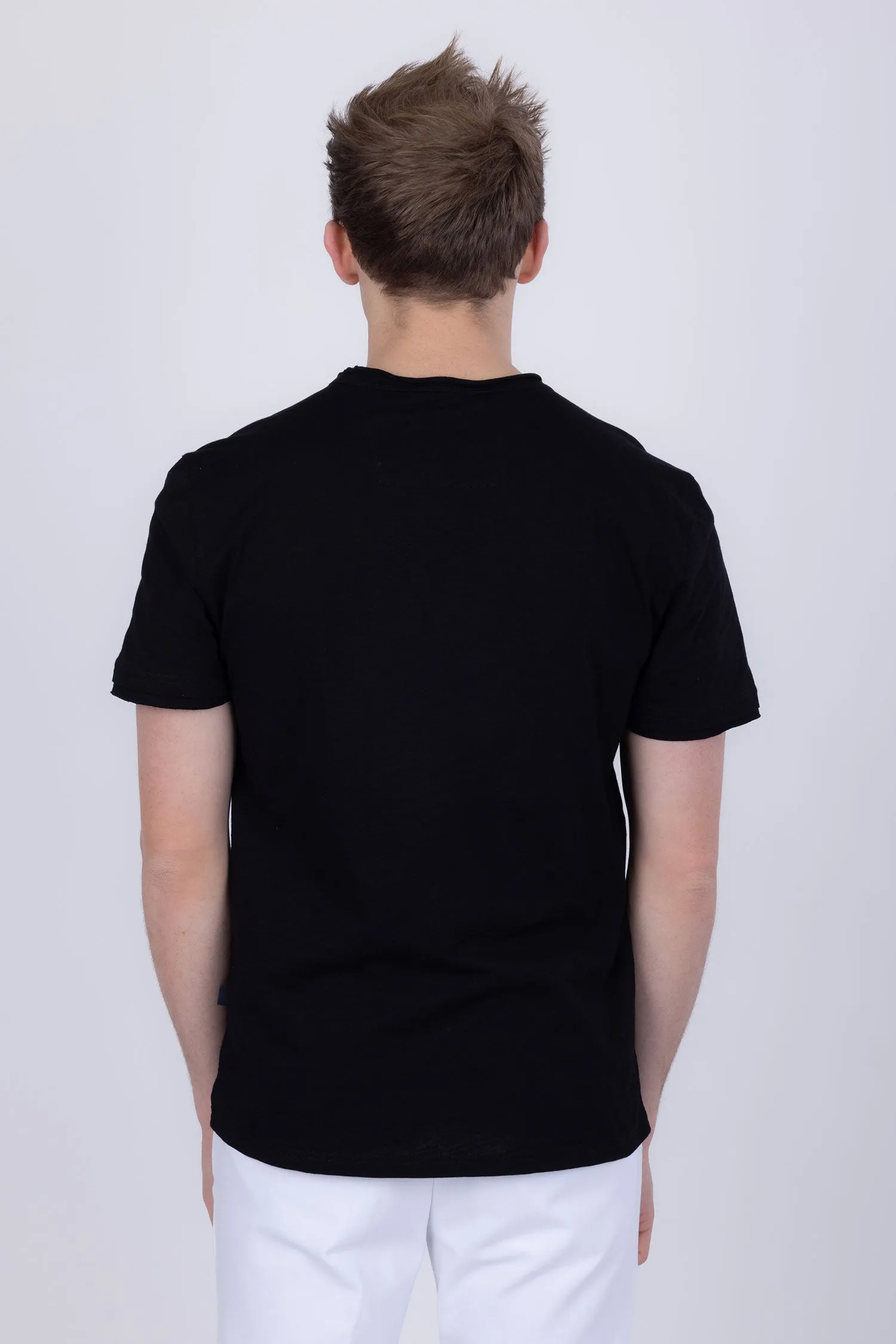 Agra V-Neck Solid T-Shirts