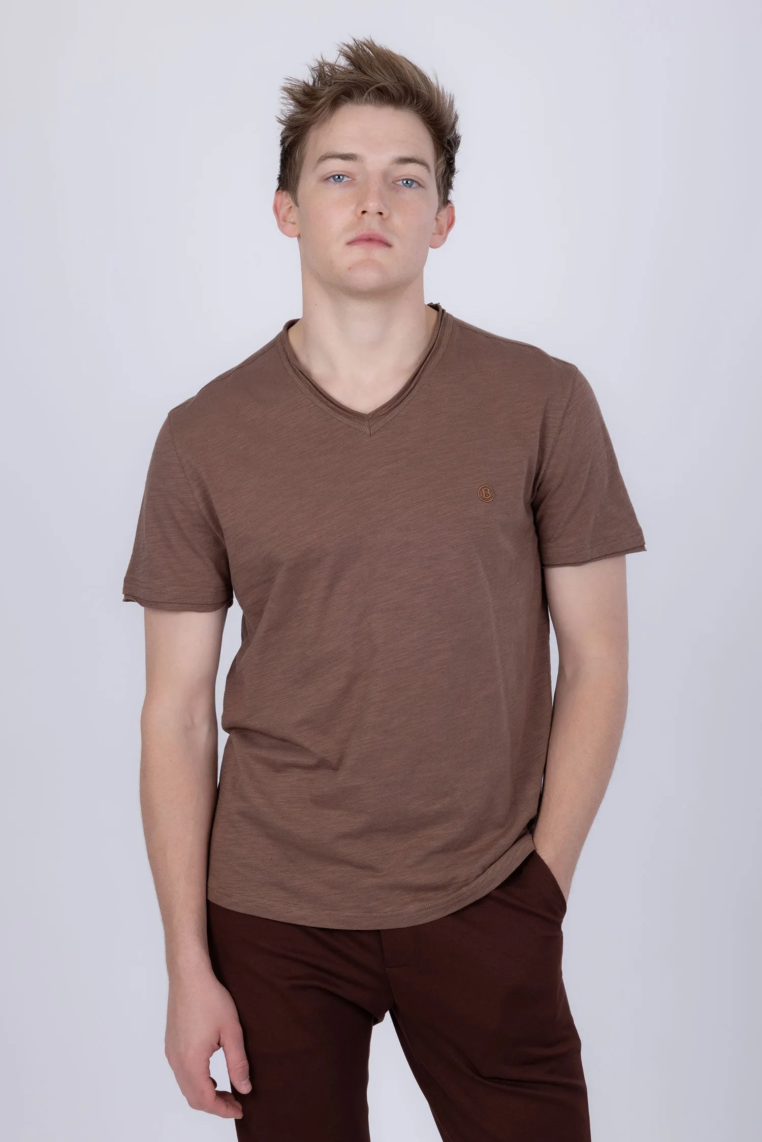 Agra V-Neck Solid T-Shirts