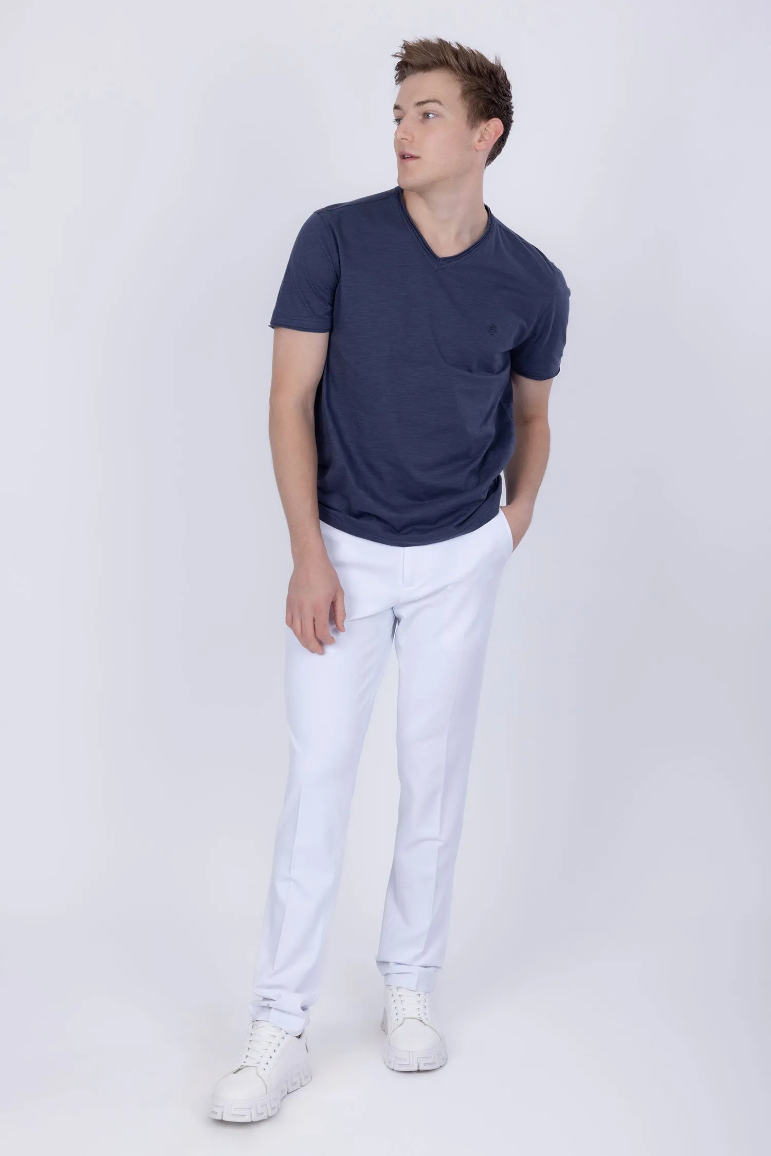 Agra V-Neck Solid T-Shirts