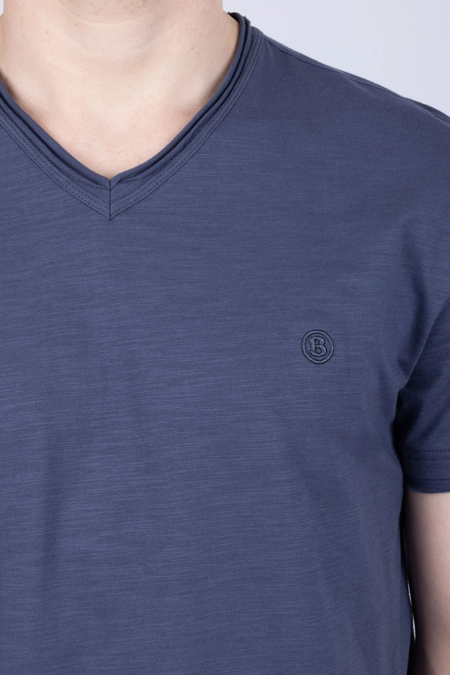 Agra V-Neck Solid T-Shirts