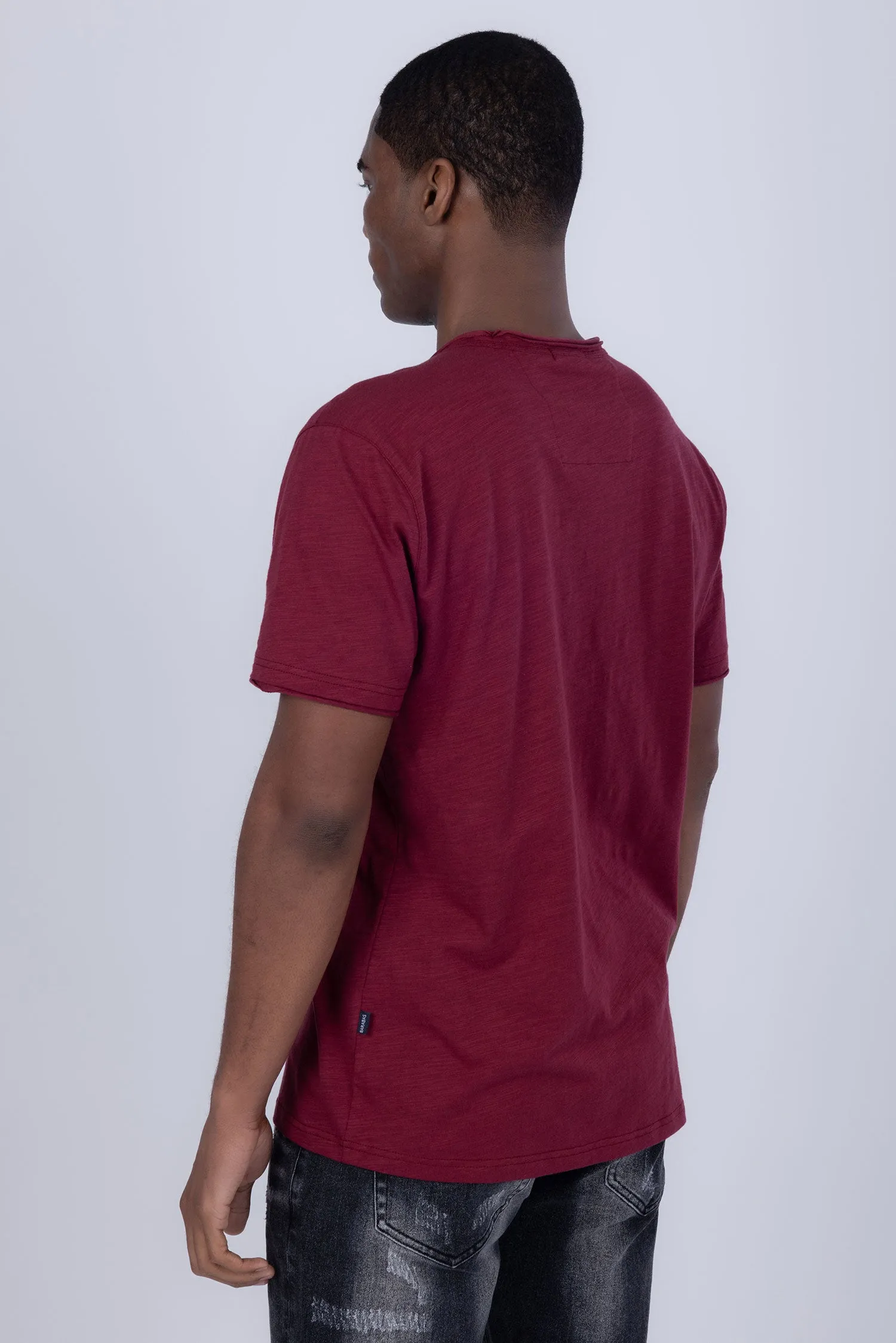 Agra V-Neck Solid T-Shirts