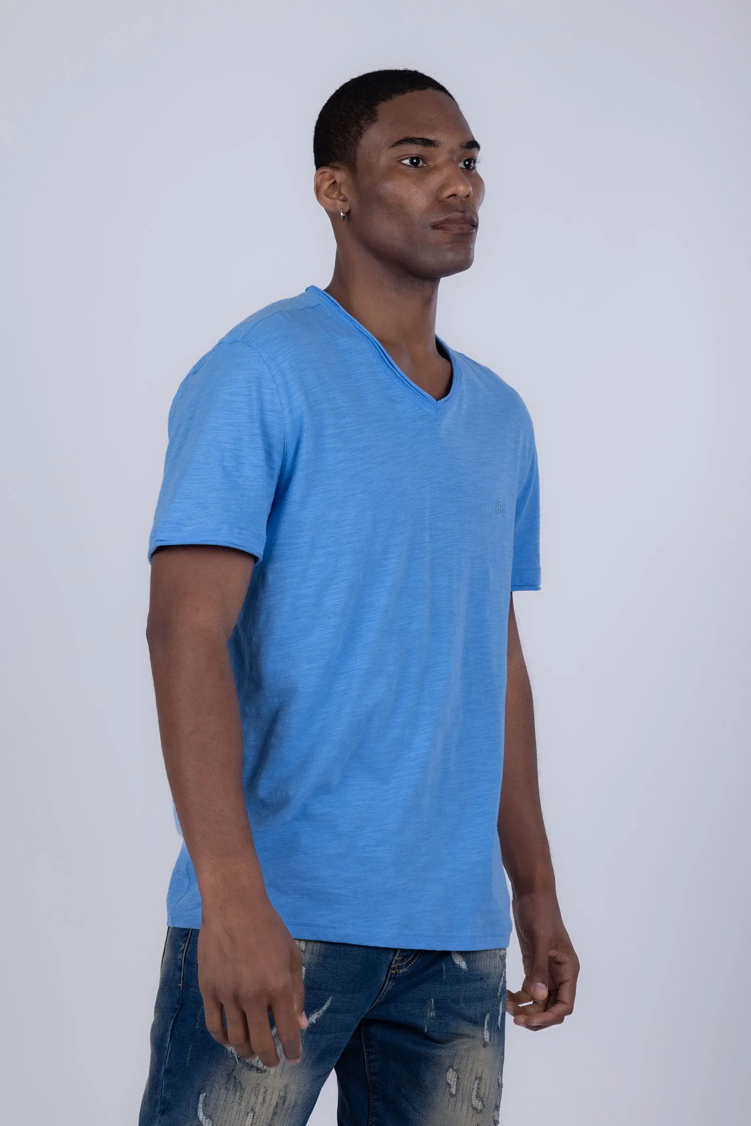 Agra V-Neck Solid T-Shirts