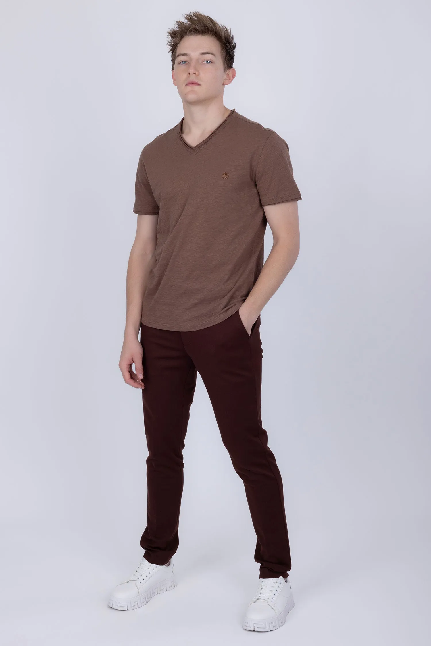 Agra V-Neck Solid T-Shirts
