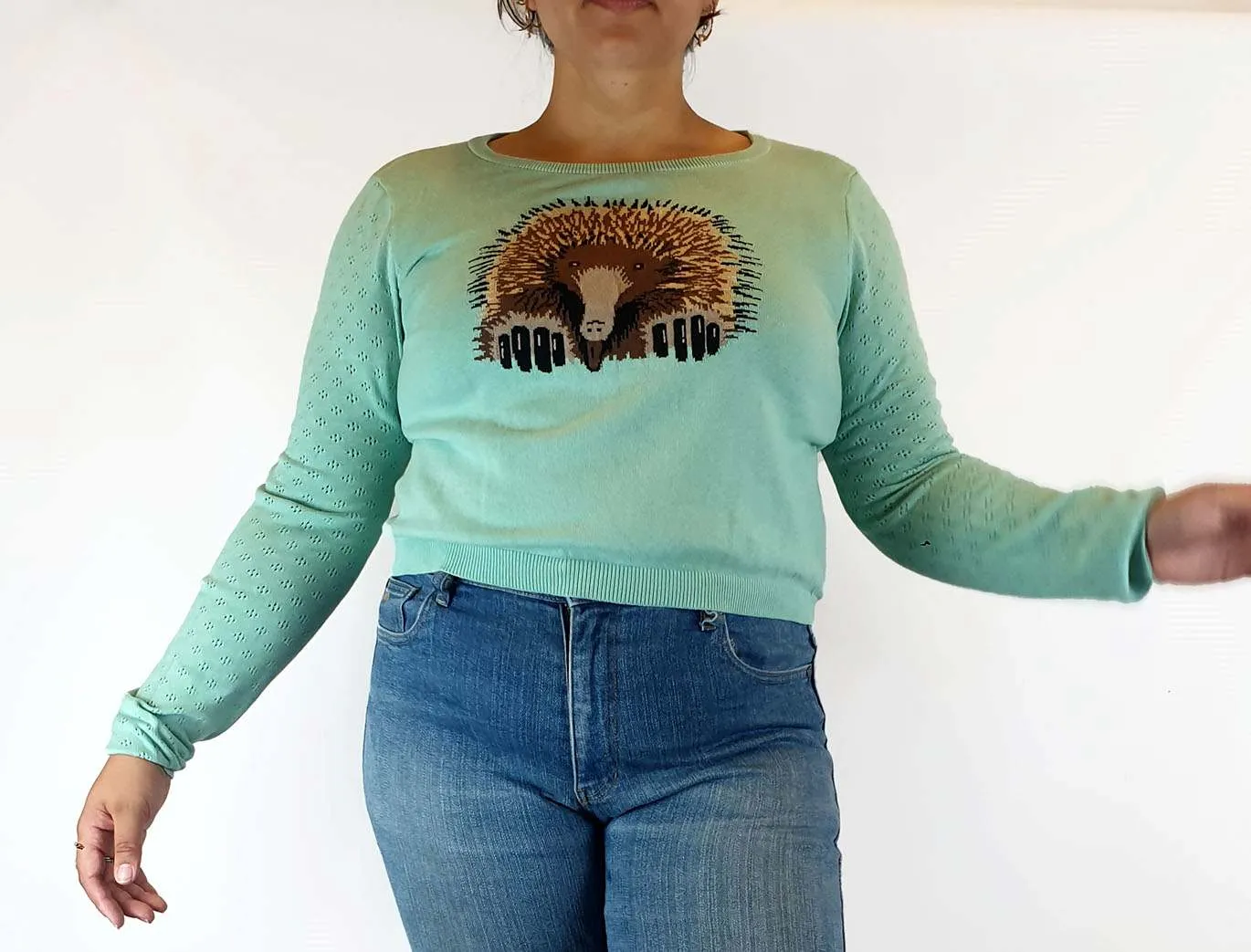 Dangerfield green knit jumper with Echidna front size 18 (small fit, bests 14-16)