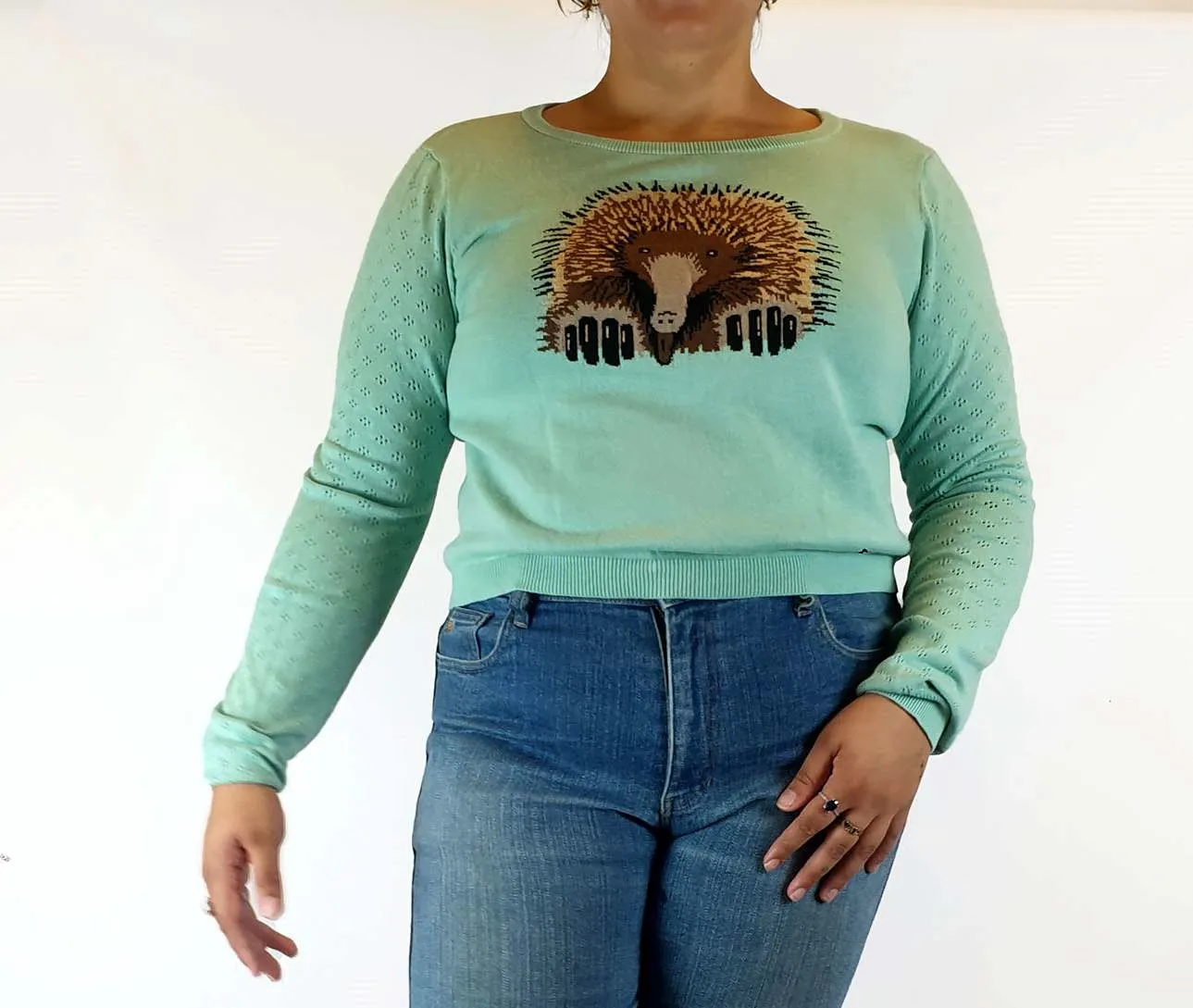 Dangerfield green knit jumper with Echidna front size 18 (small fit, bests 14-16)