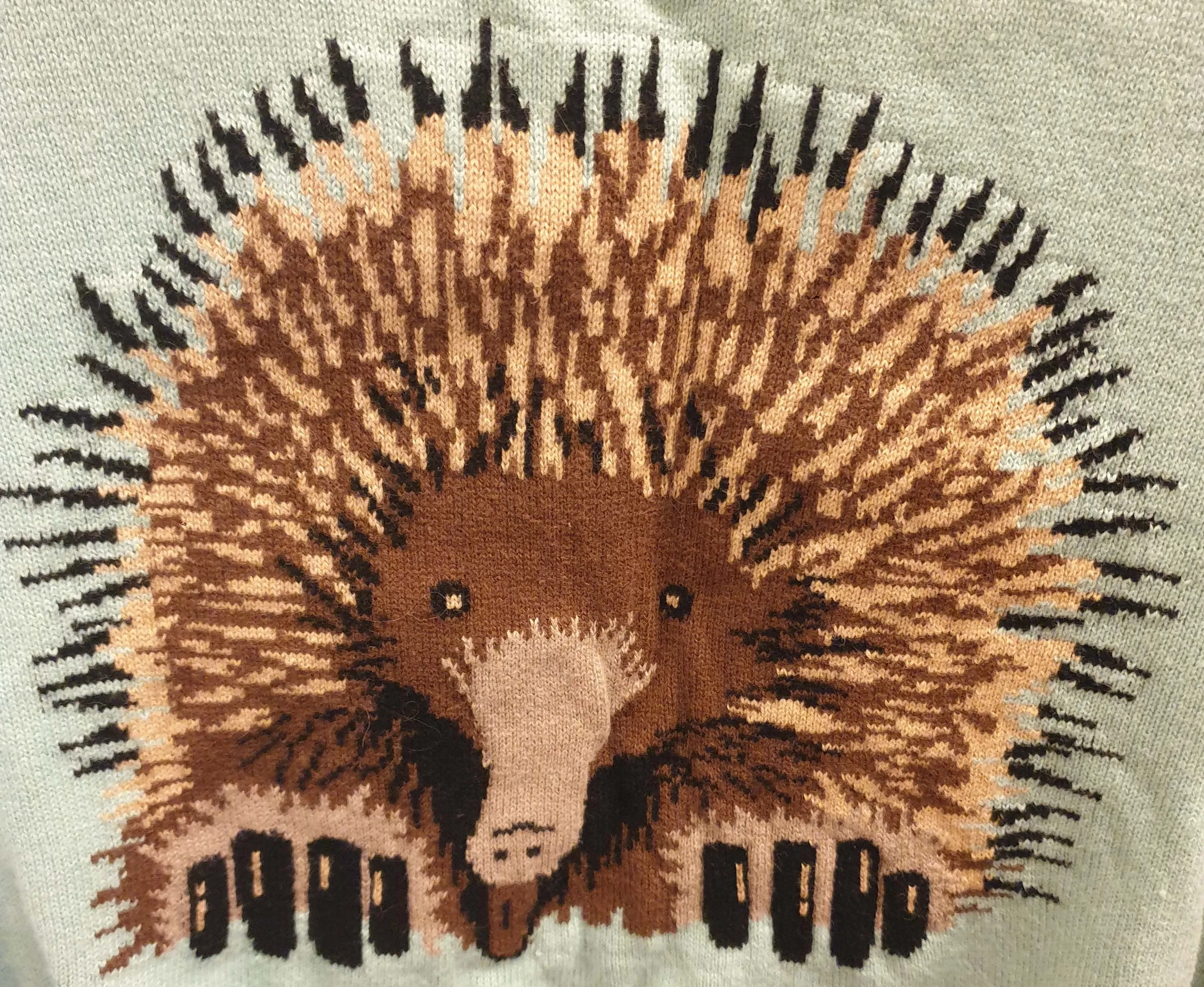 Dangerfield green knit jumper with Echidna front size 18 (small fit, bests 14-16)