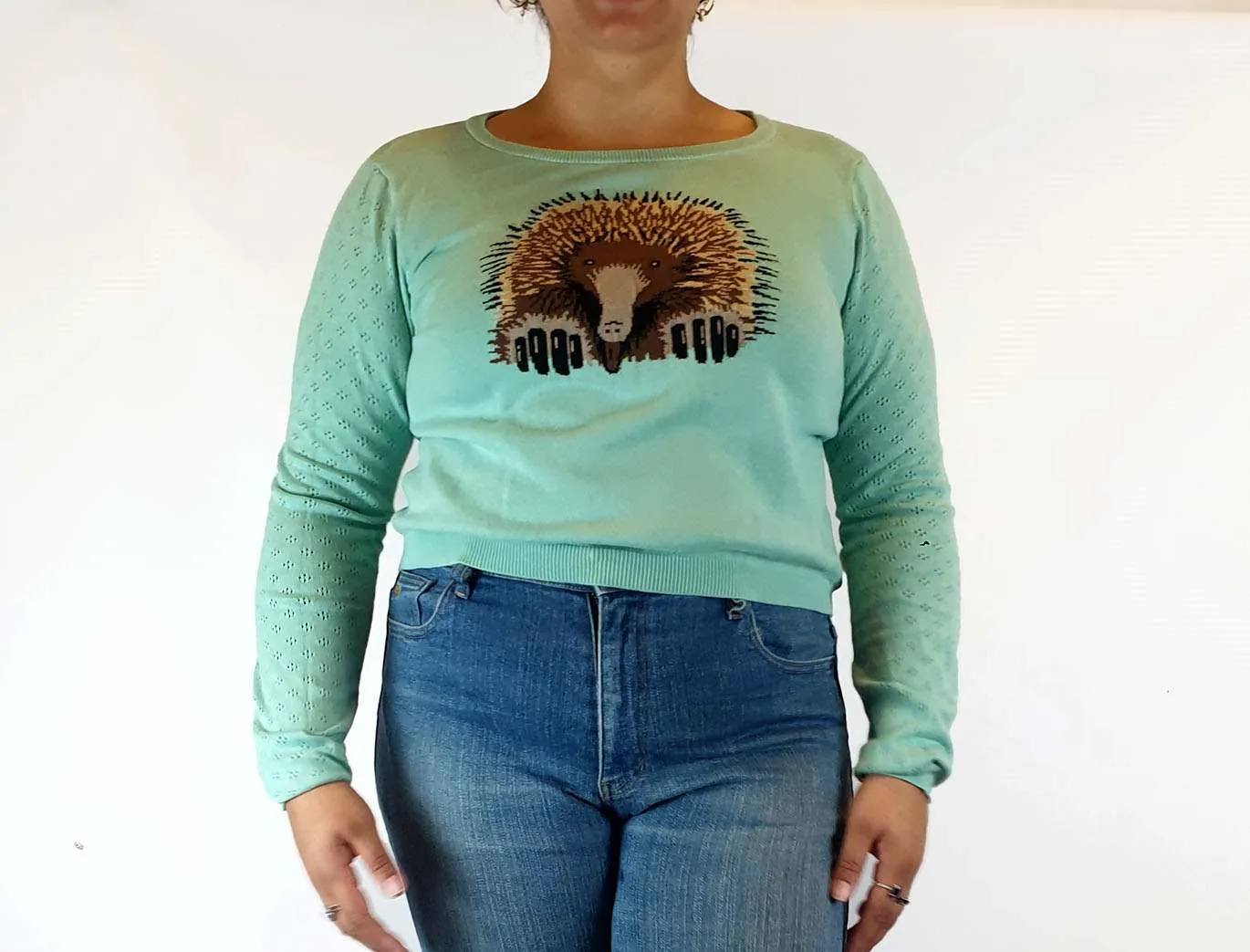 Dangerfield green knit jumper with Echidna front size 18 (small fit, bests 14-16)