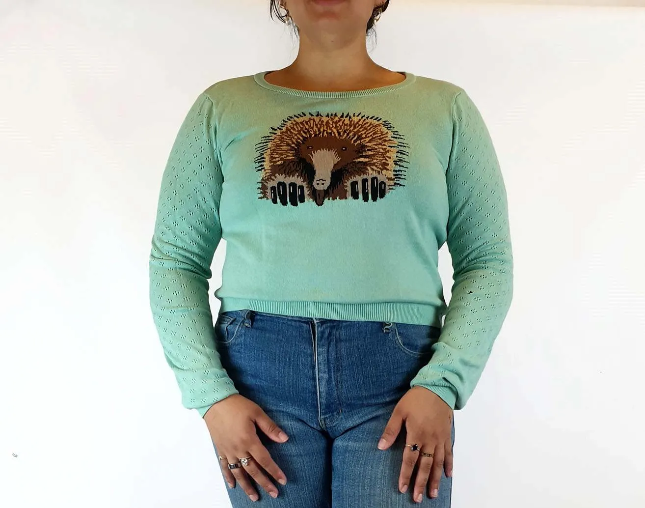 Dangerfield green knit jumper with Echidna front size 18 (small fit, bests 14-16)