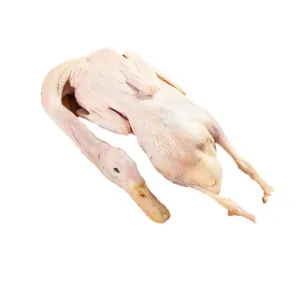 Fresh Duck