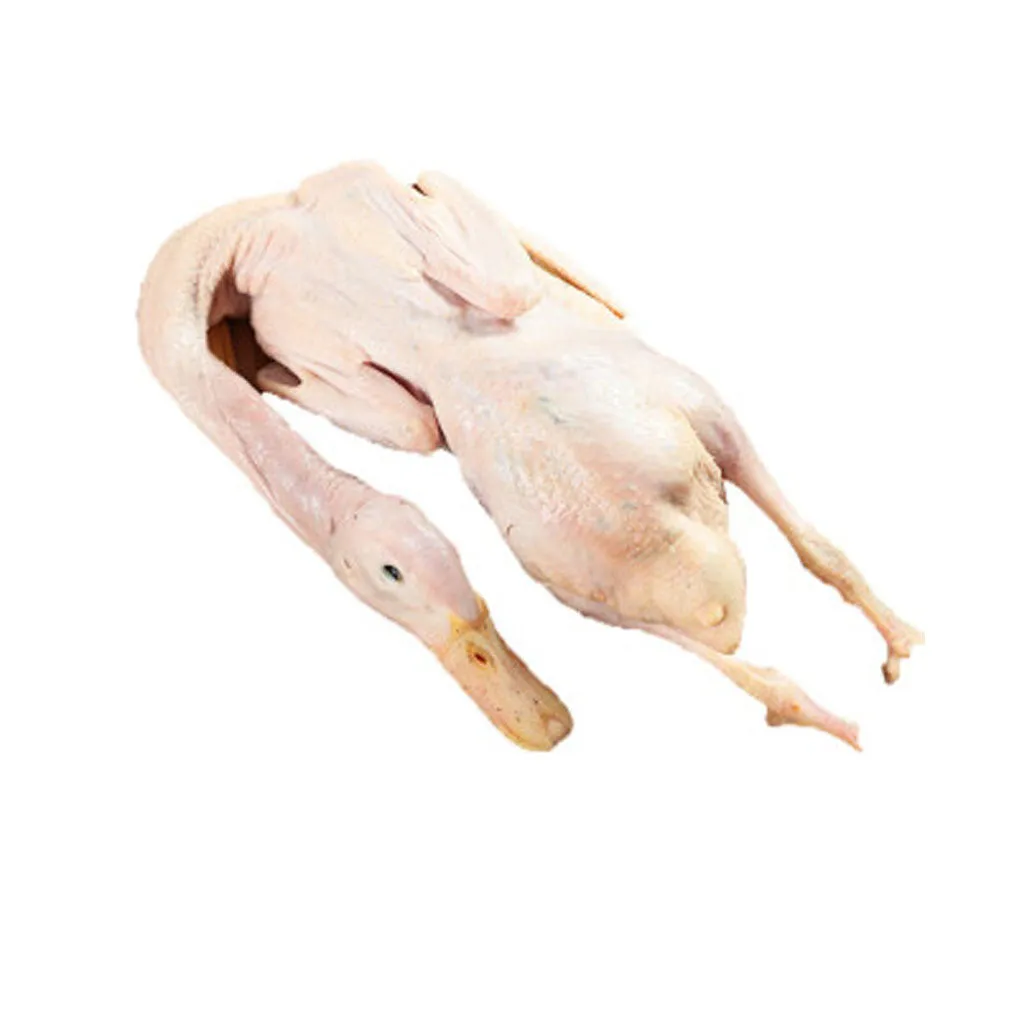 Fresh Duck