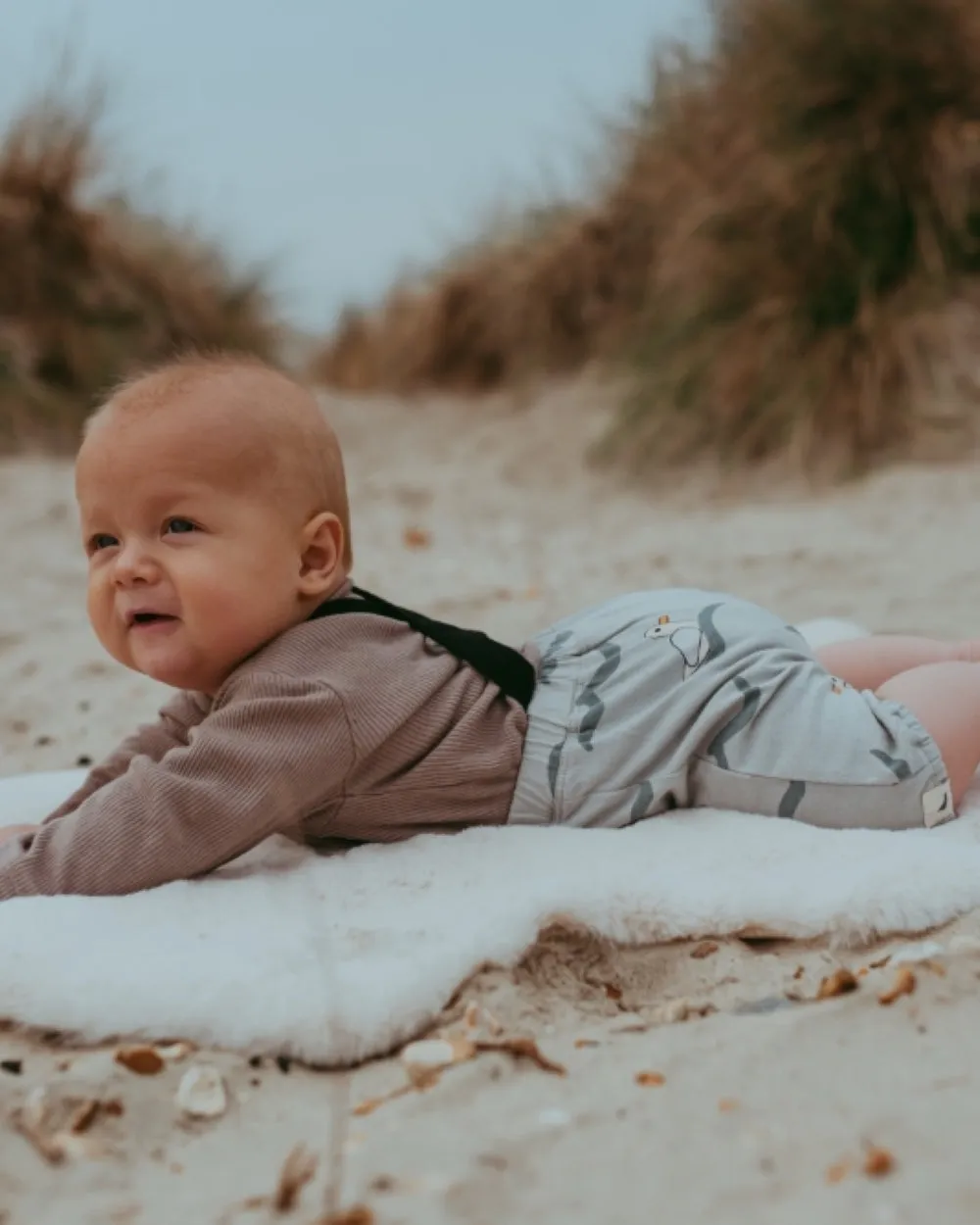 Grey Seagull Print Bracer Bloomers