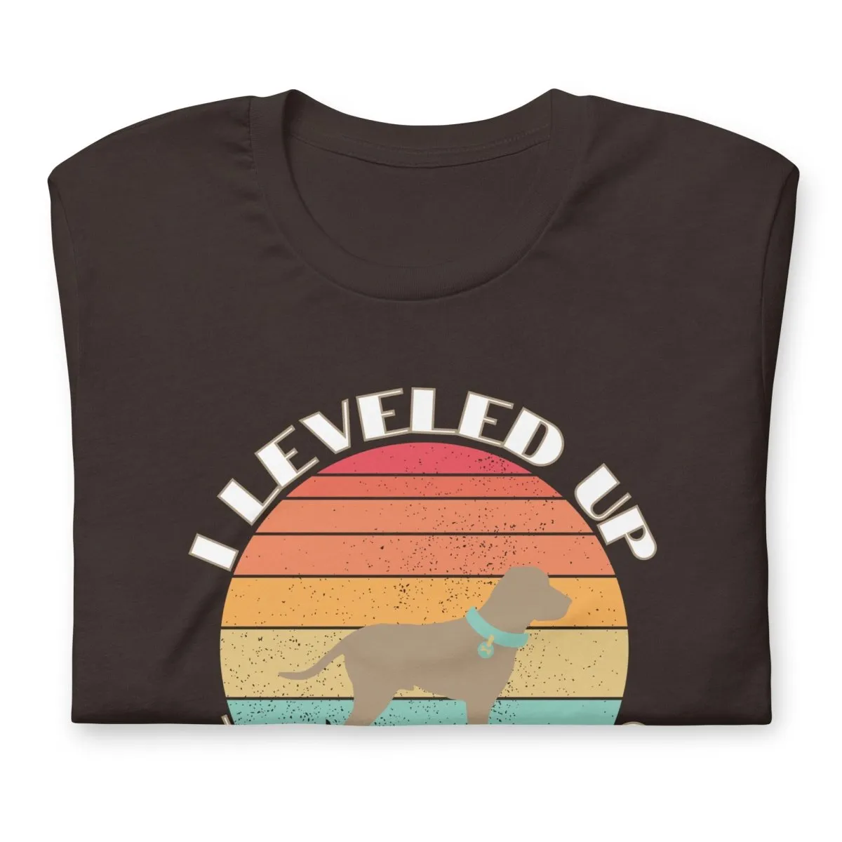 Leveled Up Dog Dad T-Shirt