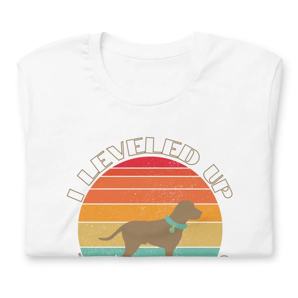Leveled Up Dog Dad T-Shirt