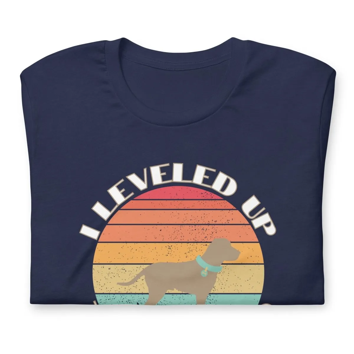 Leveled Up Dog Dad T-Shirt