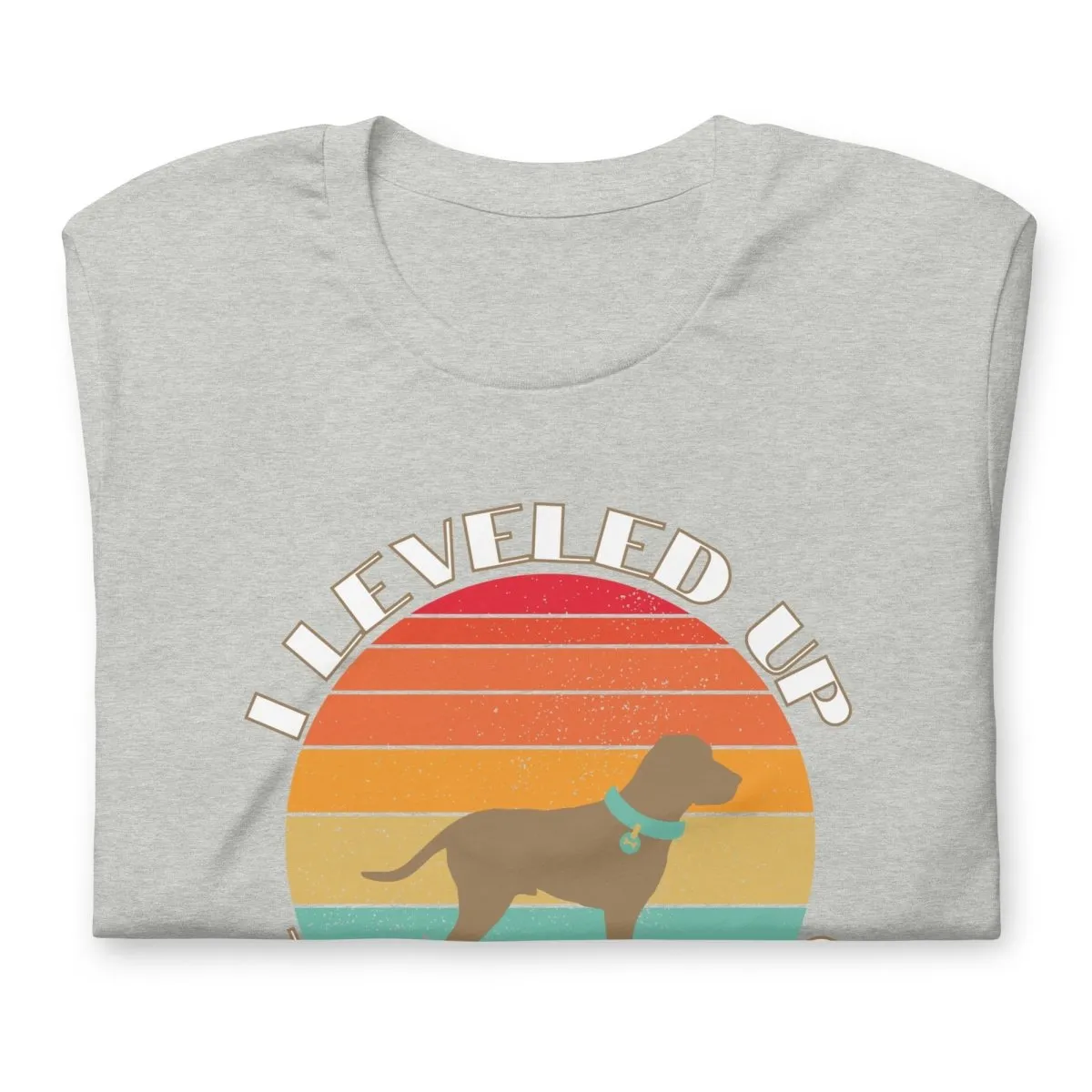Leveled Up Dog Dad T-Shirt