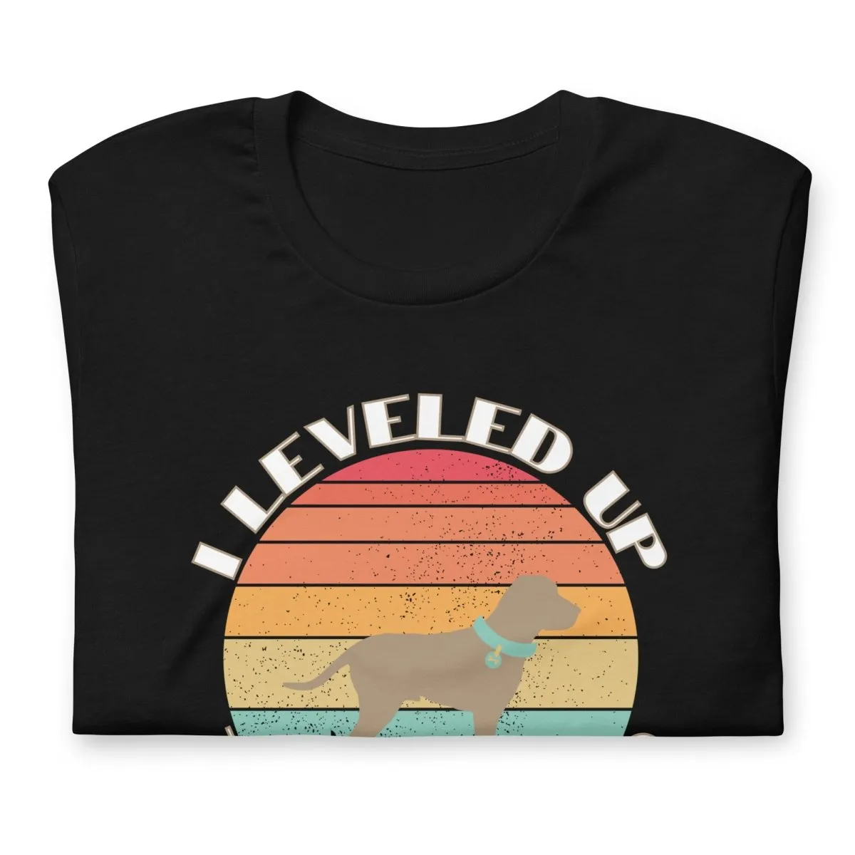 Leveled Up Dog Dad T-Shirt