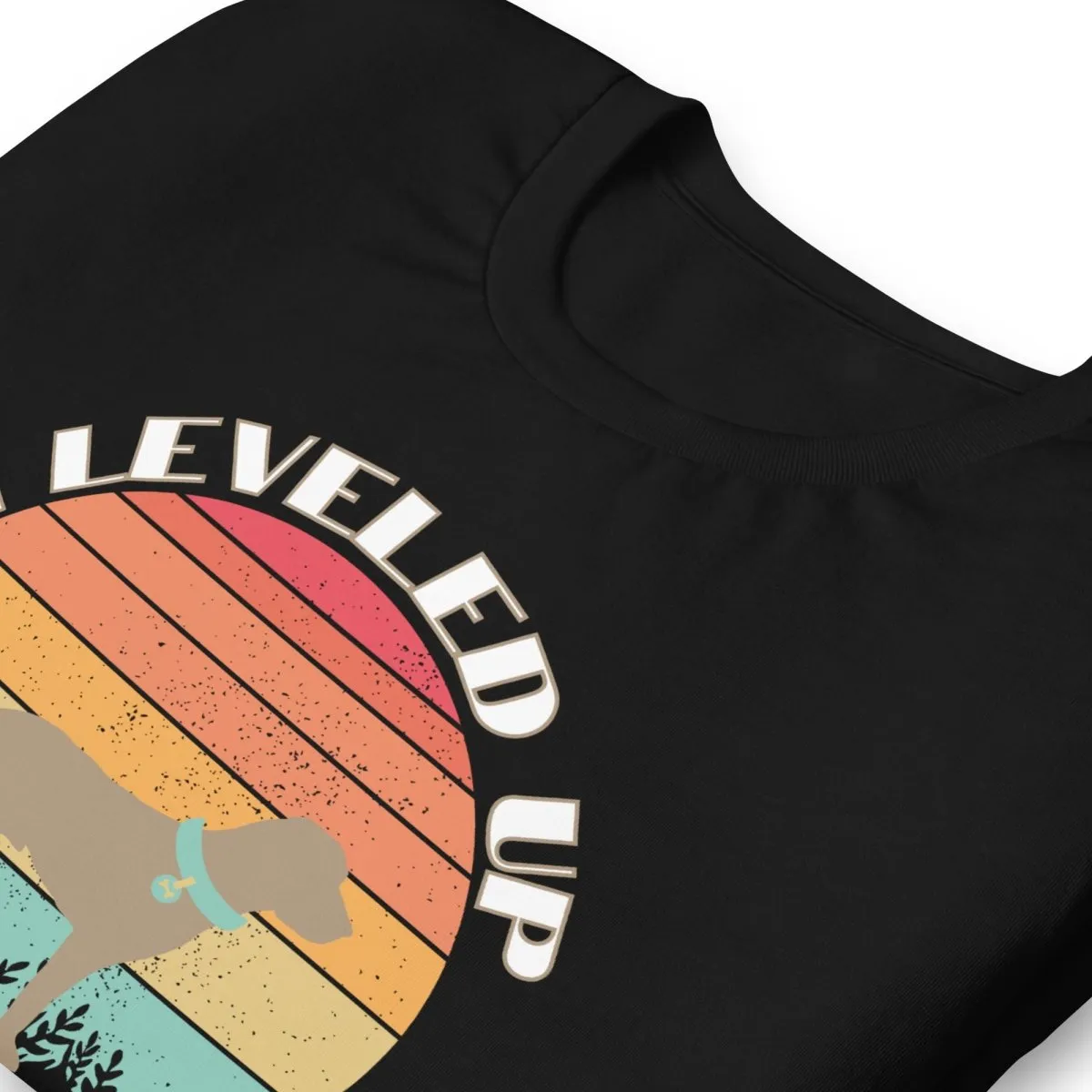 Leveled Up Dog Dad T-Shirt