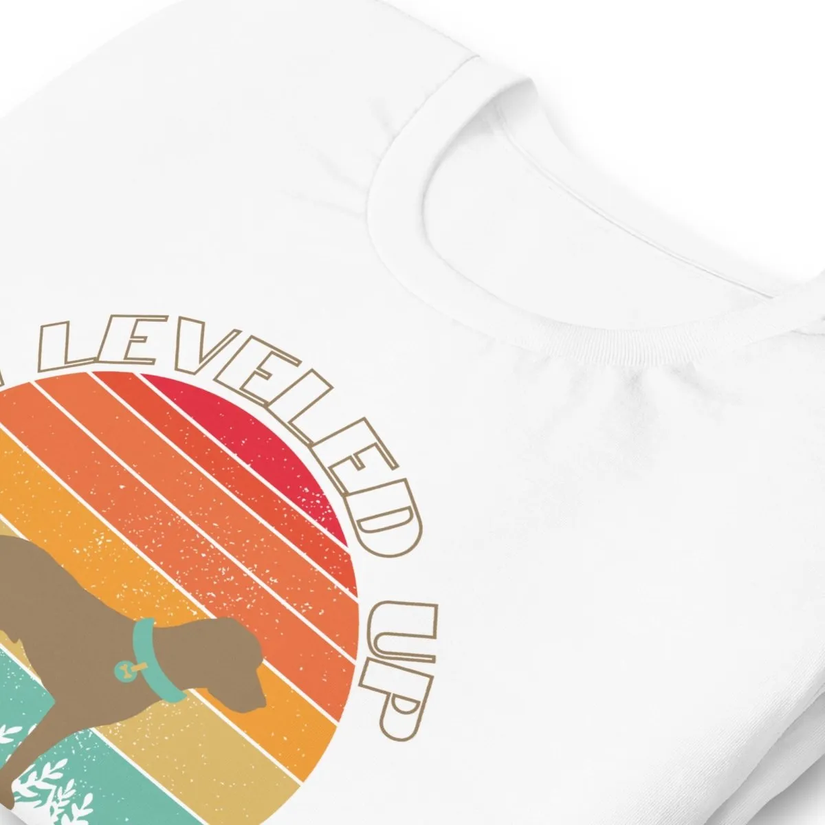 Leveled Up Dog Dad T-Shirt