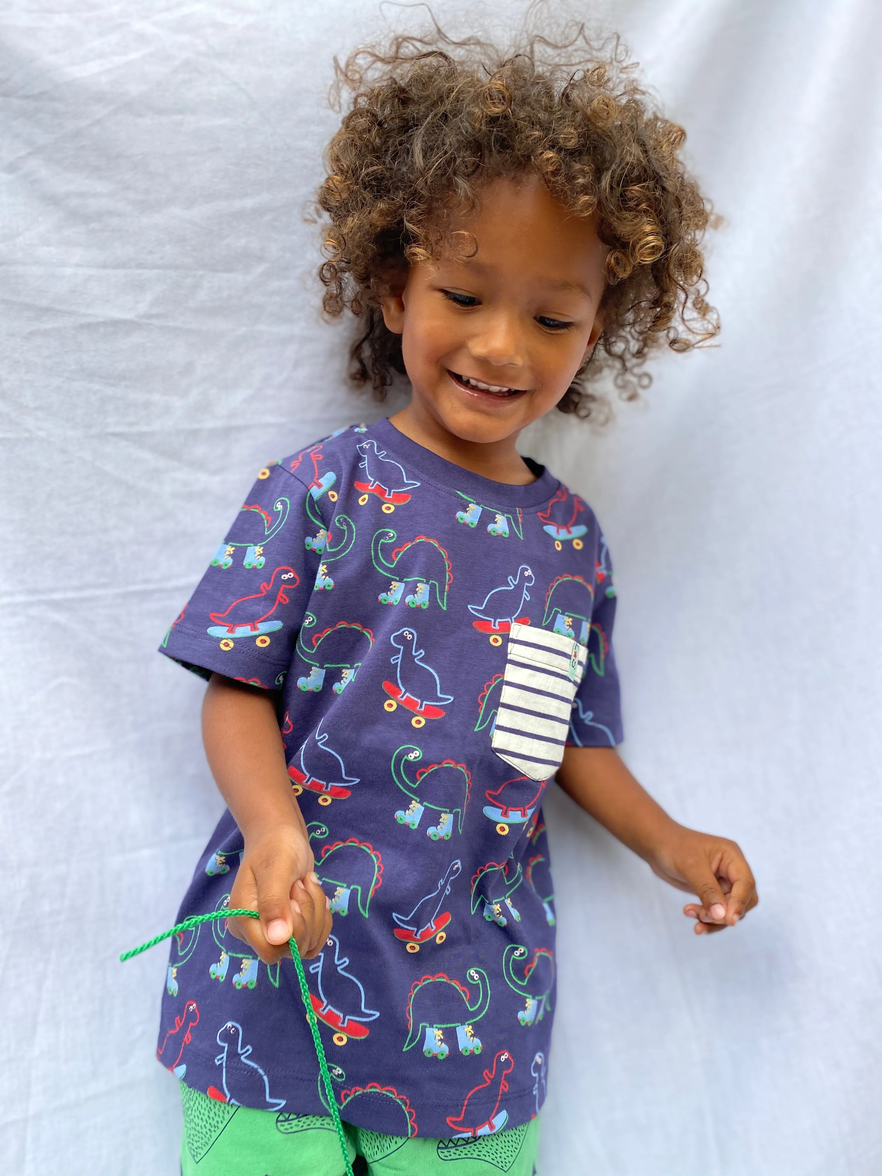 Multicoloured Plain And Dinosaur Print T-shirts - 3 Pack