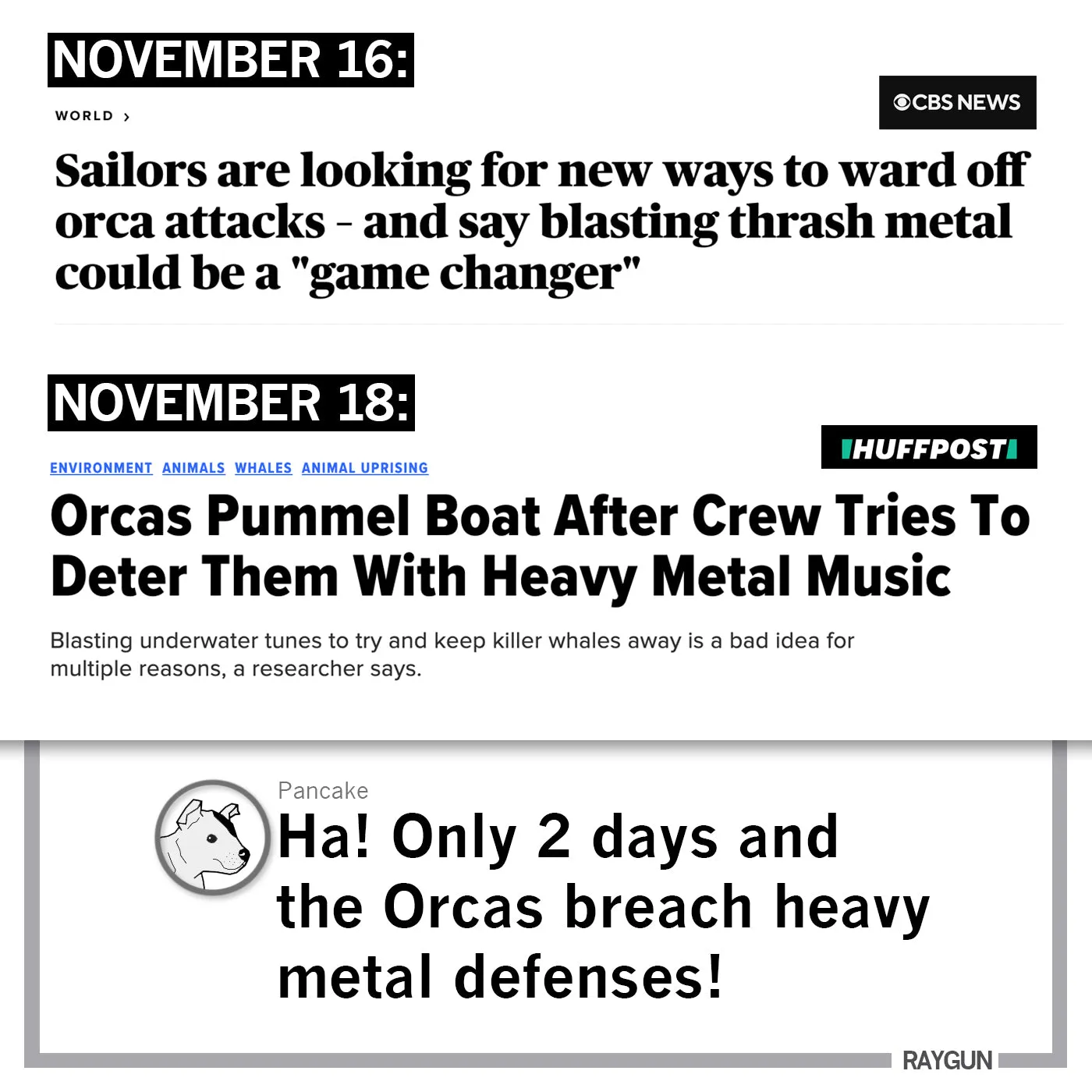 Orcas Don't Give AF