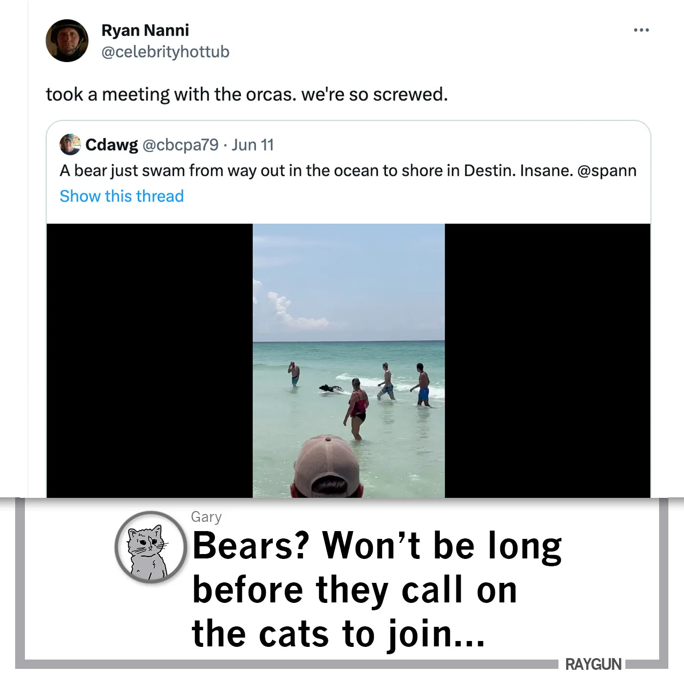 Orcas Don't Give AF