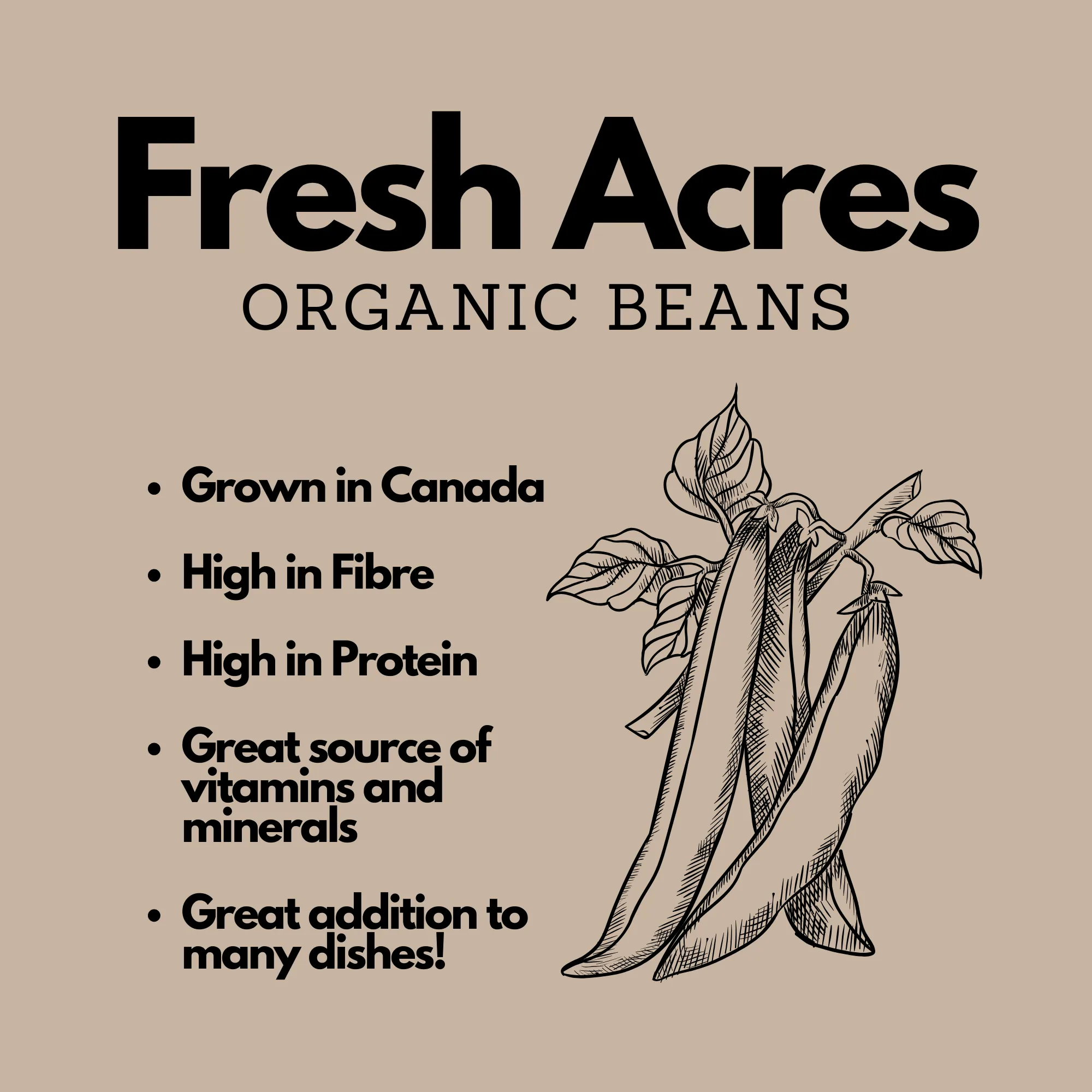 Organic White Kidney Beans