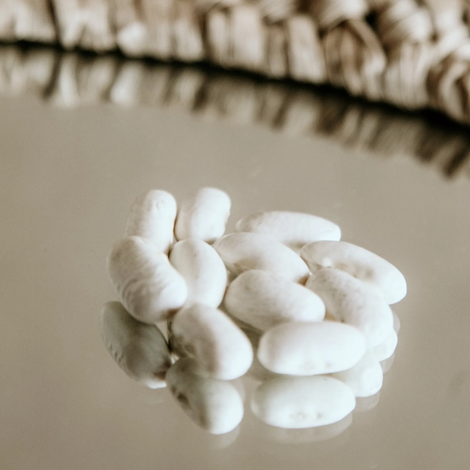 Organic White Kidney Beans