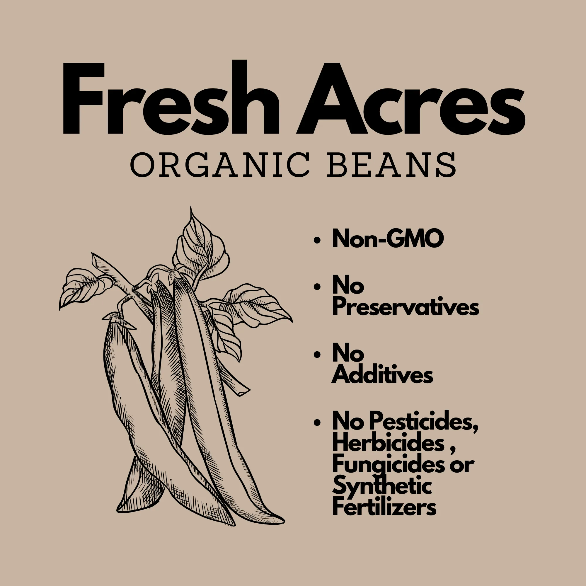 Organic White Kidney Beans