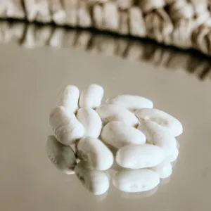 Organic White Kidney Beans