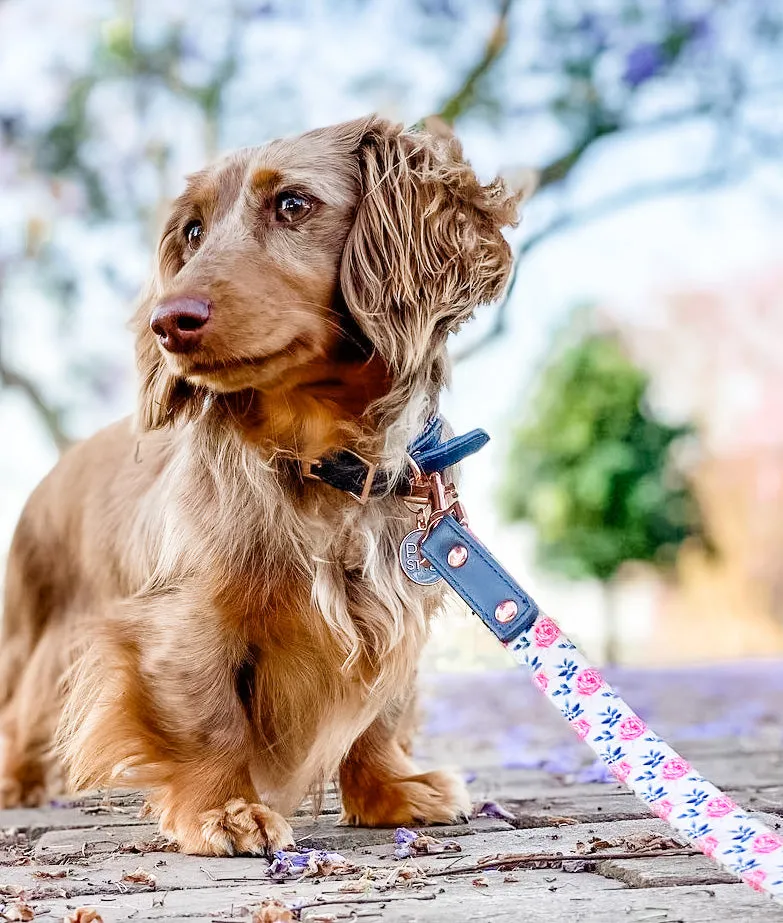 "Fresh Blooms" City Leash