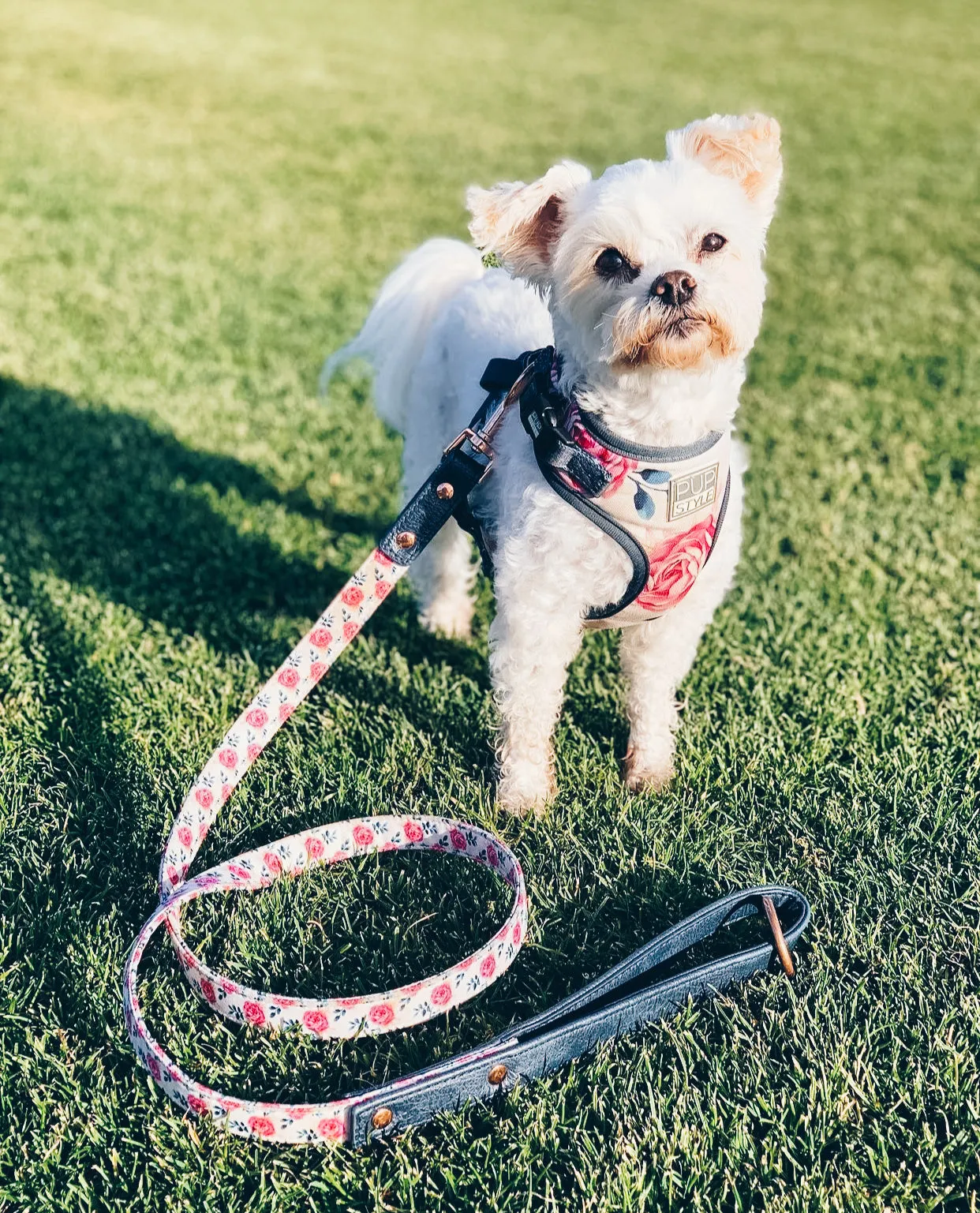 "Fresh Blooms" City Leash