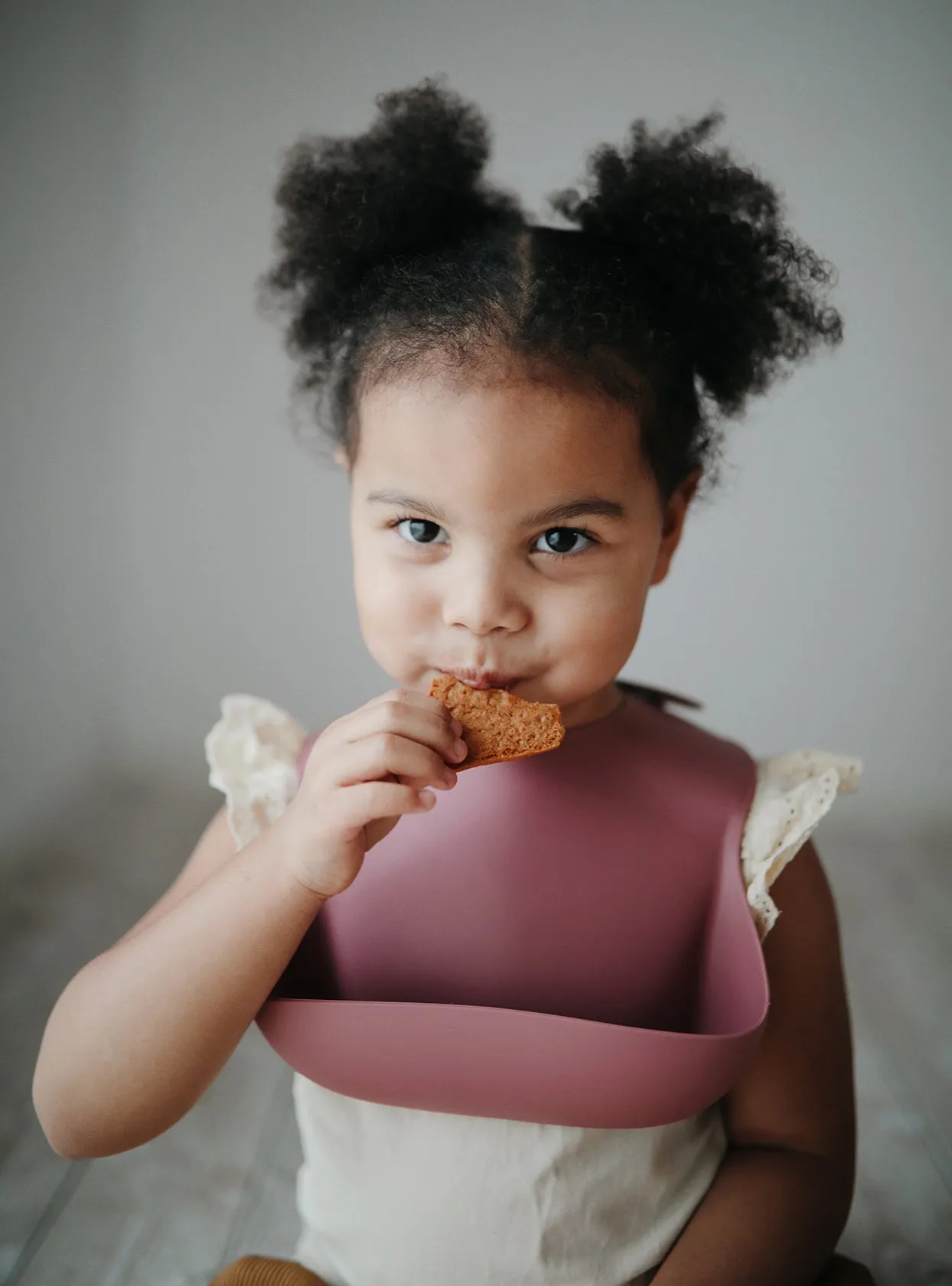 Silicone Baby Bib - Dusty Rose