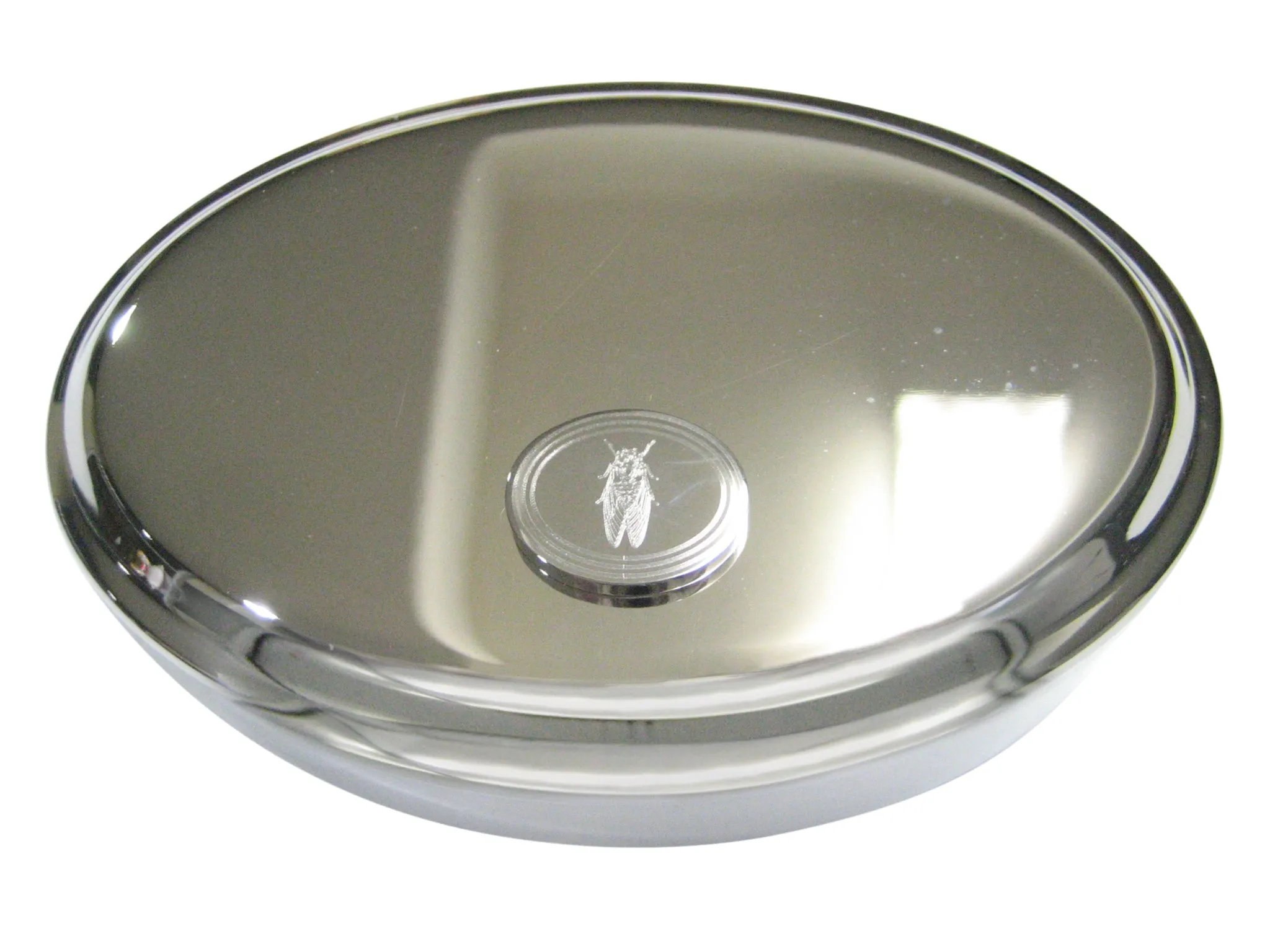 Silver Toned Etched Oval Cicada Bug Oval Trinket Jewelry Box