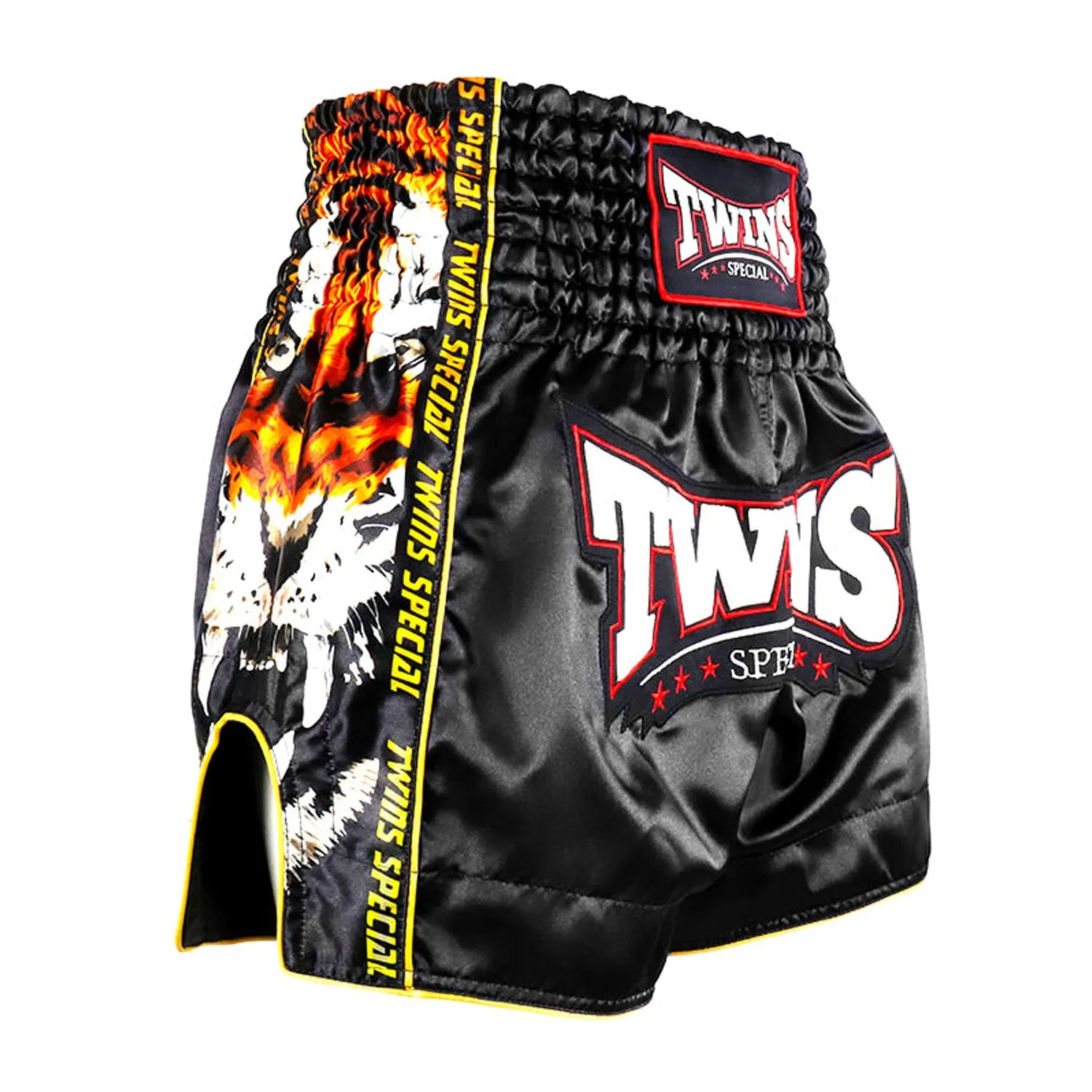 Twins Payak Muay Thai Shorts