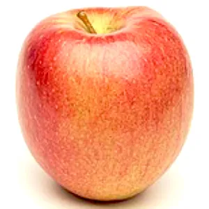Watts Farms Apple Braeburn 1pc